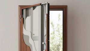  Vzlomostoykie portes d'entrée