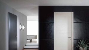  Portes intérieures blanches