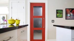  Portes pour la cuisine: recommandations pour choisir