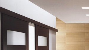  Coupe doors: how to choose?