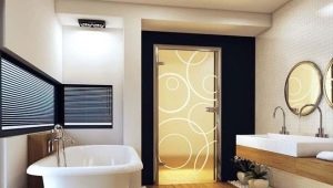  Portes à la salle de bain