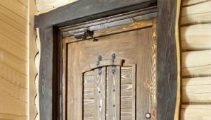  Wie mache ich eine Tür mit eigenen Händen?