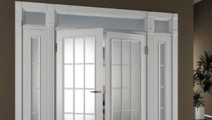  How to remove the door from the hinges?