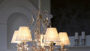  What are the ceiling lamps?