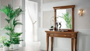  Consoles dans le couloir: fonctions et caractéristiques