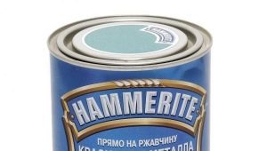  Farbe für Metalltüren: Merkmale der Wahl