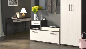  Obuvnitsa with a seat in the hallway