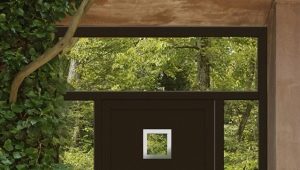  Portes d'entrée en plastique: caractéristiques à choisir