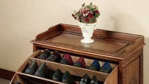  Regale für Schuhe auf dem Flur