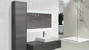  Kabinett Fälle: Arten und Design-Ideen