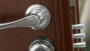  Stahl Eingangstüren