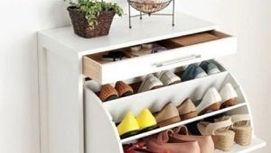  Cabinet pour les chaussures dans le couloir