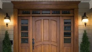  Portes en bois isolées