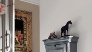 Commodes étroites pour une salle: caractéristiques du choix