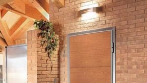  Eingangstüren aus Metall zur Wohnung