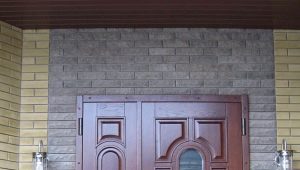  Porte d'entrée métallique double