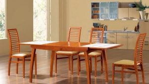  Choisir des chaises pour la table