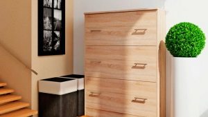  Chaussures pour chaussures dans le hall