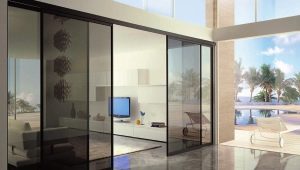  Cloisons dans l'appartement: idées de design et règles de zonage