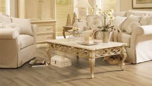  Laminat Aberhof: Vor- und Nachteile