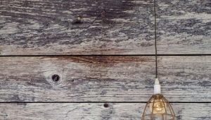  Tapeten unter dem Baum - ein besonderer Charme Ihrer Räume