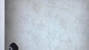  Papier peint sous le plâtre: les règles du choix