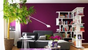  Caractéristiques du choix du papier peint uni