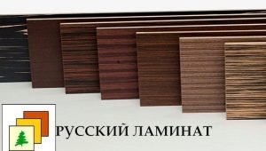  Russischer Laminatboden in einem modernen Interieur