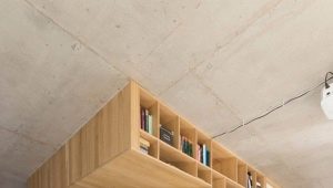  Stilvolles Design einer Zweizimmerwohnung von 50 Quadratmetern. m