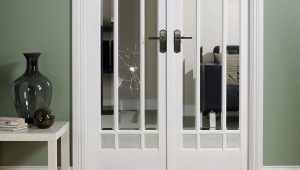  Replacing the glass in the interior door