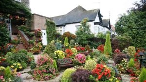  Plates-bandes et plates-bandes dans le pays: nous plantons des plantes qui fleurissent tout l'été