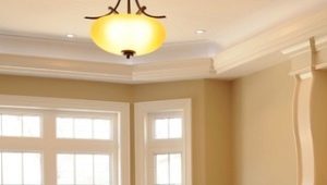  Surface du salon design de 17 mètres carrés. m: règles de planification et de zonage de la salle