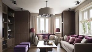  Salle de design de 20 mètres carrés. m: exemples de design