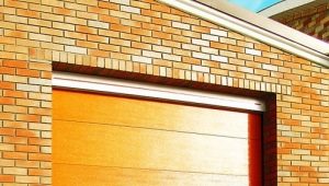  Garagentore Alutech: Vor- und Nachteile