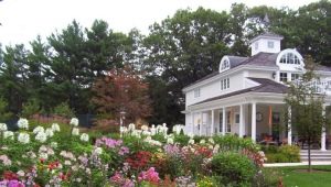  Interessante Ideen für das Landhaus und den Garten