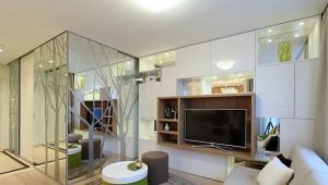 Interessante Gestaltungsmöglichkeiten für 1-Zimmer-Wohnung von 40 Quadratmetern. m