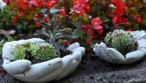 Blumentöpfe für Blumen im Freien machen