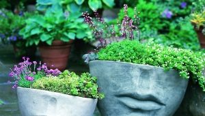  How to make a pot of concrete?