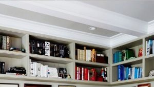  Comment choisir une étagère dans le salon: de beaux exemples à l'intérieur