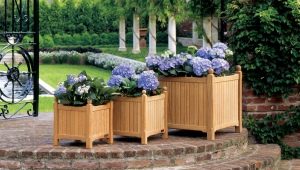  Garden pots: original ideas with your own hands