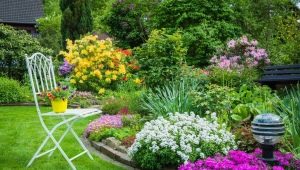  Parterres de fleurs: comment décorer le site de leurs propres mains
