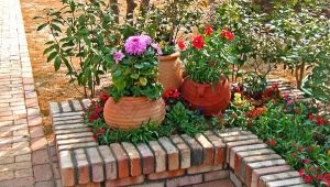  Plates-bandes dans le pays: de belles options d'aménagement paysager