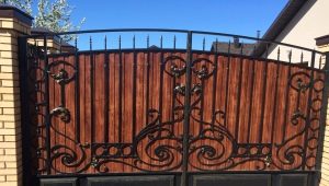  Forged items for the fence: decorate fences