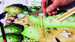  Landscape design: the subtleties of the landscaping process