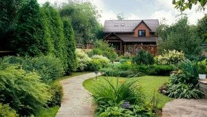  Landscape design of the summer cottage: beautiful design ideas