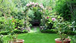  Landscape design suburban area of ​​10 acres