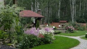  Landscaping suburban area: designing your own hands