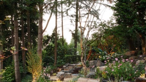  Landscape Design: Original Design Ideas