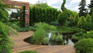  Landscape design: the subtleties of design suburban area of ​​5 acres
