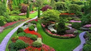  Mixborders: de belles options d'aménagement paysager